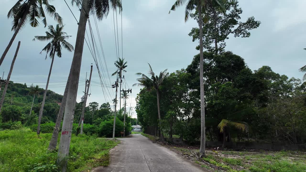 Tropical palm tree scooter drive POV Thailand Koh Samui roadtrip view exotic nature