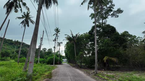 tropical palm tree scooter drive pov thailand koh samui roadtrip view exotic nature