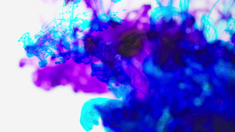 pintura o tinte púrpura y azul caído en el agua contra un fondo blanco para crear un fondo de humo de colores giratorios 4