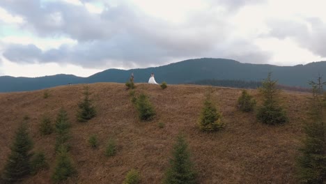 lovely young newlyweds bride groom embracing on mountain slope, happy wedding couple family in love