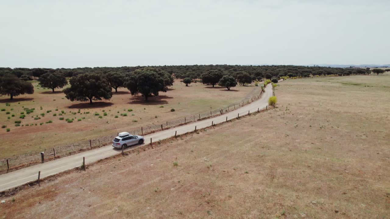 오크 숲 을 가로지르는 경치 좋은 시골 도로