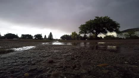 dirty puddles on muddy gravel road during a rainy day with a view of clouds and trees off in the distance