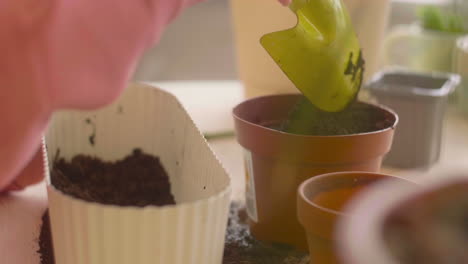 vista de cerca de una chica irreconocible preparando el suelo en una olla sentada en una mesa donde hay plantas en un taller de artesanía