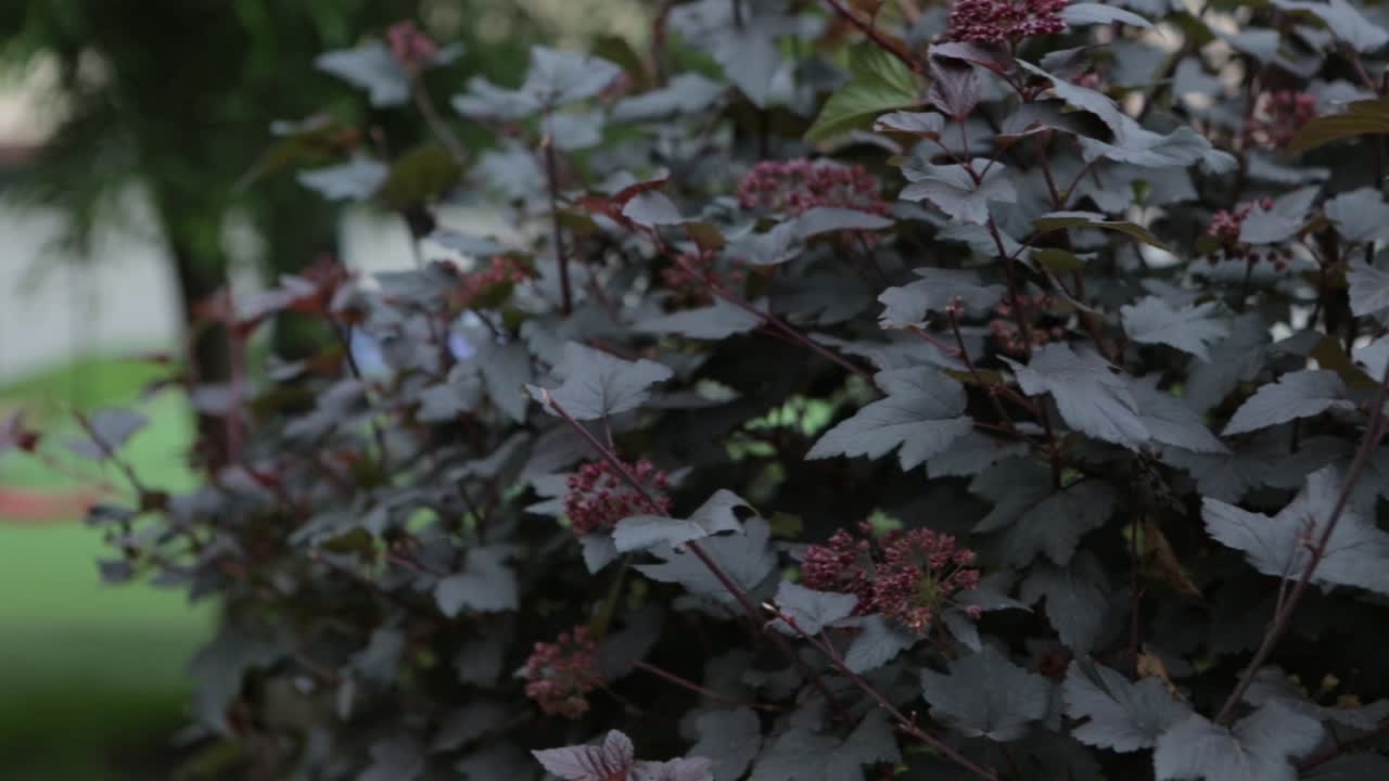 사람 들 과 식물 들 이 있는 공원 장면