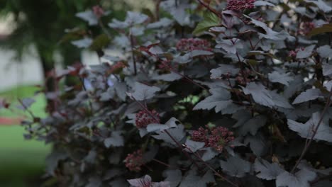escena del parque con personas y plantas