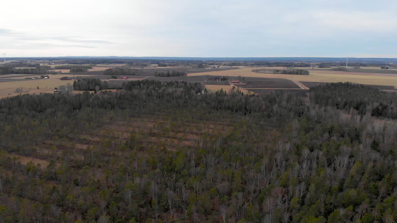 drone se eleva sobre el paisaje de moore en suecia
