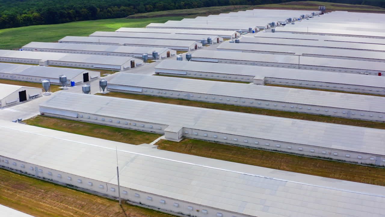 Farm buildings on field. Modern agriculture on a meadow. Flying over large barns surrounded by nature. Aerial view.