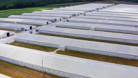 farm buildings on field. modern agriculture on a meadow. flying over large barns surrounded by nature. aerial view.