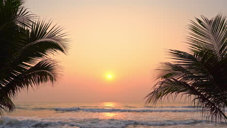 Silueta-Foto-Romántica-De-Dos-Ramas-De-Palmeras-En-Un-Cielo-Naranja-Dorado-Con-Puesta-De-Sol-Sobre-El-Océano-En-Calma