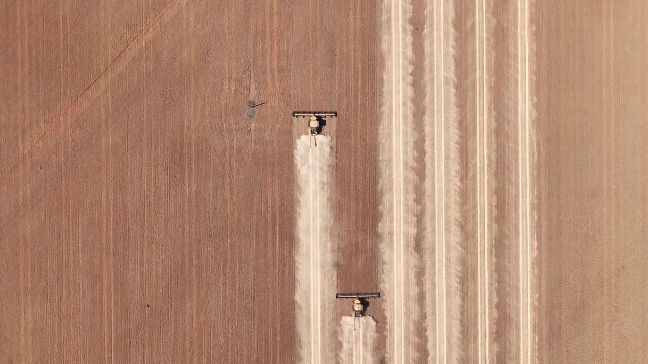 este material captura la sinergia de la tecnología agrícola moderna, mostrando el papel esencial de los frentes de cabecera en el proceso de cosecha de trigo