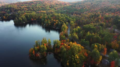 drone aerial view of coloful forest on scenic lakefront in american countryside on autumn afternoon, vermont usa, drone shot