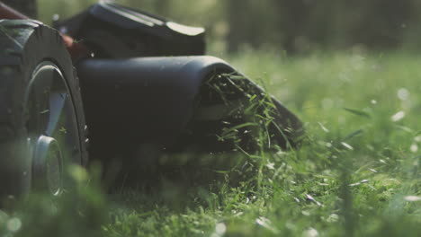 electric lawn mower cutting grass