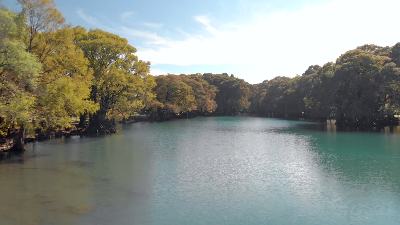 호수 위의 나무 사이를 날아다니는 드론