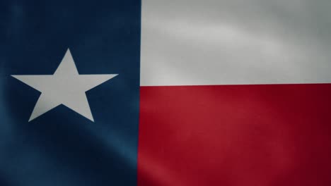 flag of texas, slow motion waving