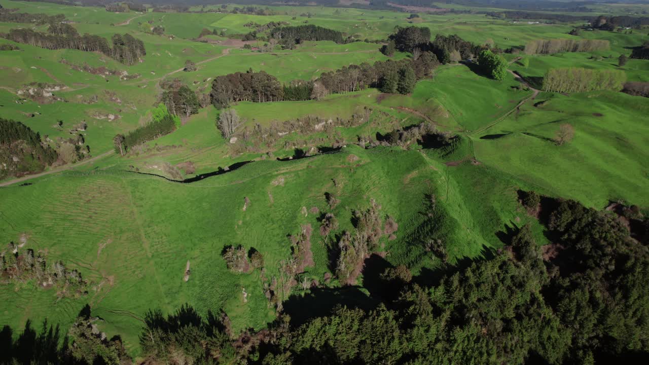 울불한 초록색 농경지는 뉴질랜드의 시골 지역을 가로질러 어 있으며, 자연의 아름다움과 농업 생활을 혼합하여 부드러운 언덕과 울창한 숲으로 둘러싸여 있습니다.