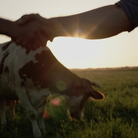 two farmers shake hands in a close-up