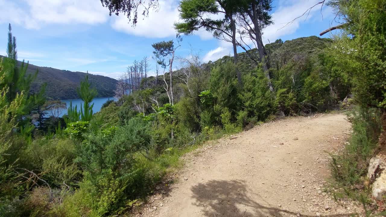 una perspectiva en primera persona de caminar por la pista de la reina charlotte en la isla sur de nueva zelanda