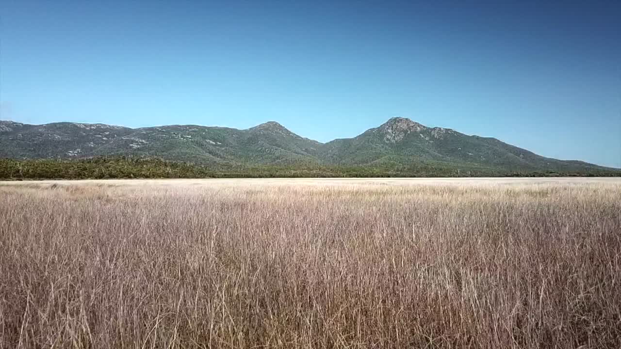Drone low flying over tall grass at Wineglass bay, Tasmania