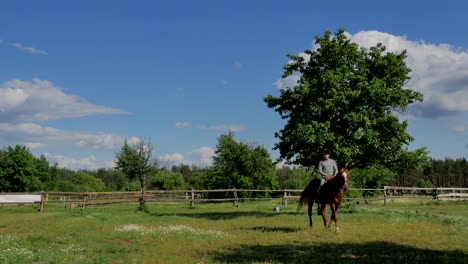 el jinete en casco montando en el caballo en el prado