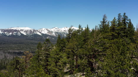 Montañas-Nevadas-De-Sierra-Nevada-Con-Bosque-De-Pinos-En-California-Bajo-Un-Cielo-Azul-Claro