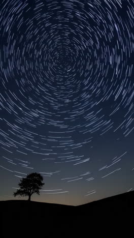 star trails over a lonely tree