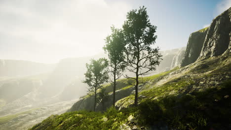 Pine-trees-and-Huangshan-mountains-in-China