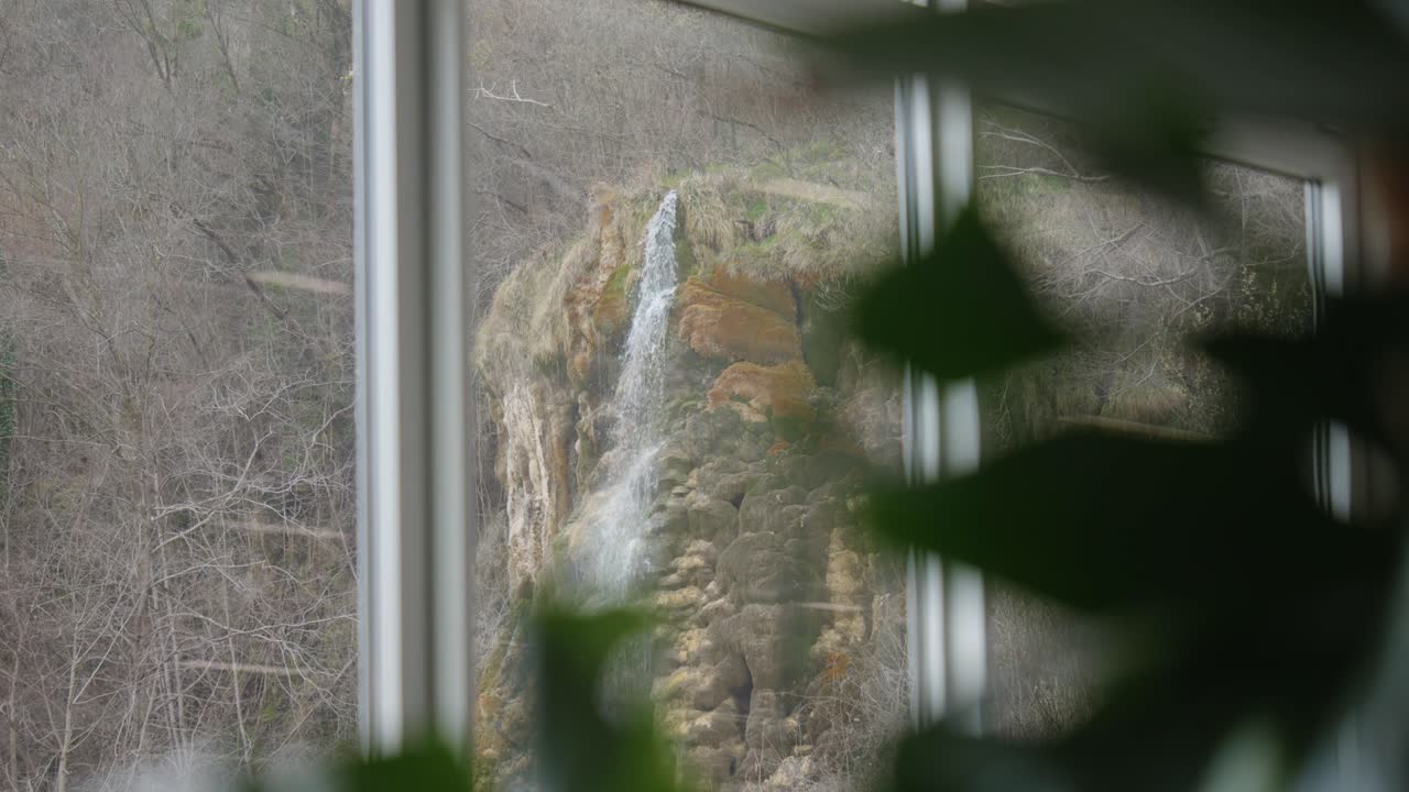 Healthy and green workplace with a waterfall seen through a window with drought-tolerant plant in foreground.