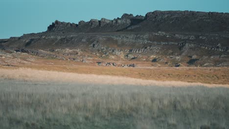 Desolate-northern-steppes-landscape.-Parallax.-Pan-left