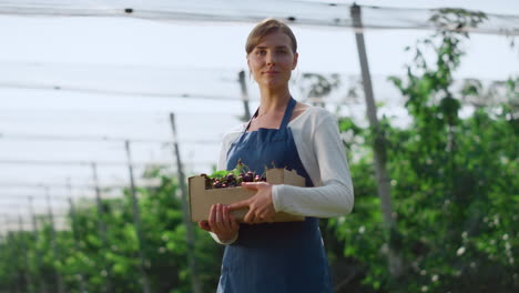 Gardener-holding-berry-box-enjoying-work-in-peaceful-organic-garden-concept