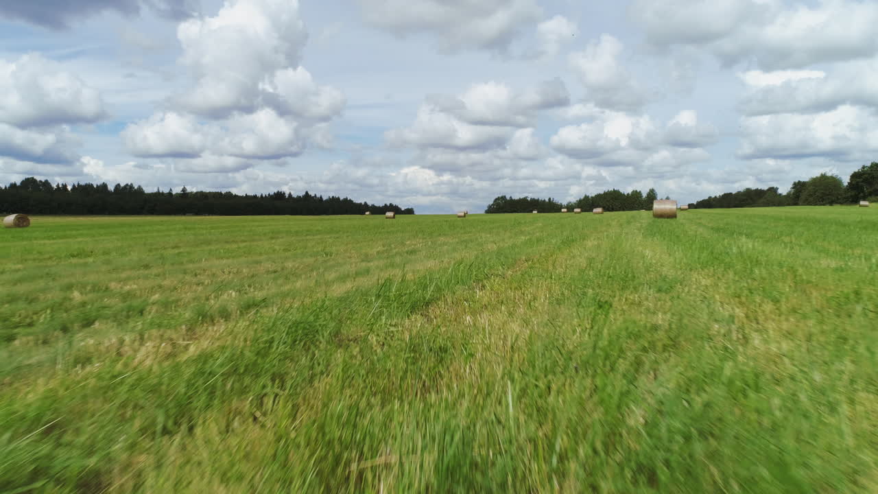 balas de heno en un campo de hierba