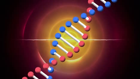 animación de la cadena de adn sobre círculos rojos y naranjas