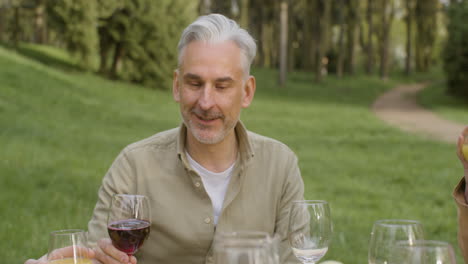 grupo de amigos maduros bebiendo con jugo y vino durante una fiesta al aire libre en el parque