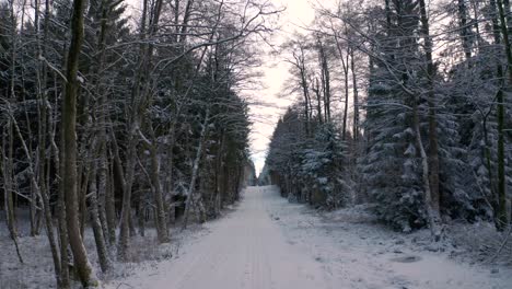 4K-UHD-aerial-drone-clip-of-a-snowy-road-surrounded-by-trees-in-a-forest-in-winter-with-snow-covering-the-tree-tops-in-Bavaria,-Germany