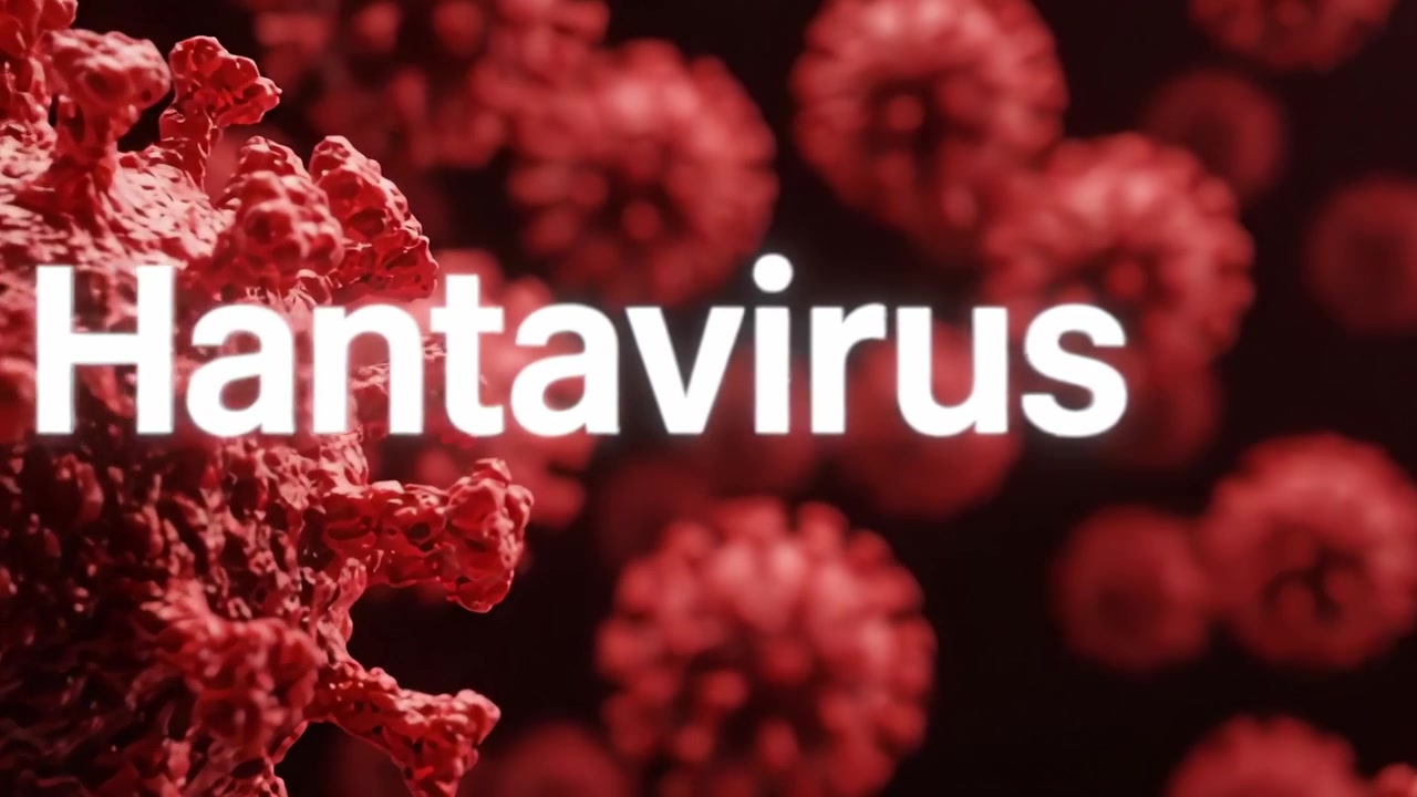 A Detailed Exploration of Hantavirus: Understanding Its Structure, Transmission, and Impact on Human Health through Intricate Microscopic Visuals