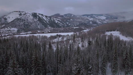 Aspen-Snowmass-Pitkin-County-Hütte-Wildnis-Luftdrohne-Rocky-Mountains-Colorado-Basalt-Carbondale-Mt-Sopris-Maroon-Bells-Ashcroft-Independence-Pass-Neblig-Schneebedeckter-Morgen-Aufwärtsauslegerbewegung