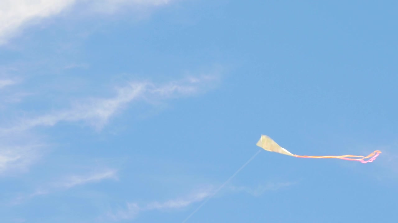 Aquilone nel cielo blu