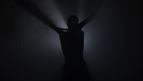 silhouette aerial acrobatics performance