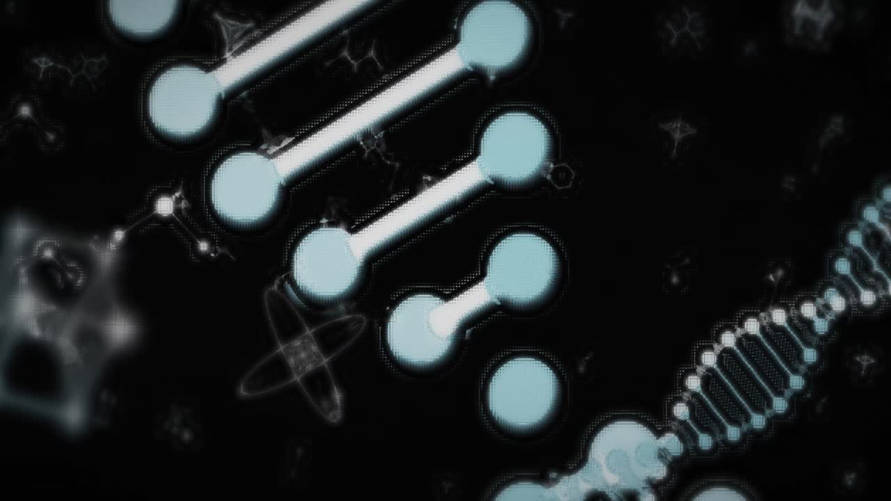 인간 생물학 dna 두개골 뇌 애니메이션 4k