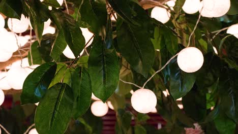 decorative small hanging globes of light