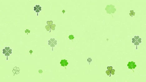 animation of lucky clover over green background