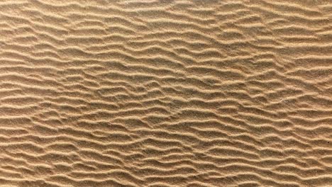 Unique-patterns-in-beach-sand-caused-by-wind