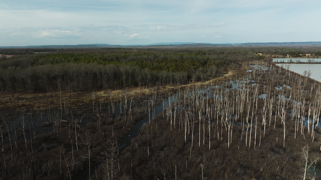 punto de eliminación de la zona de vida silvestre, blackwell, ar, con árboles sin hojas y humedales, vista aérea