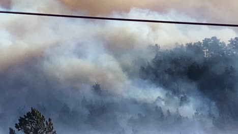 Dark-Wildfire-Smoke-Above-Forest,-Burning-Trees-From-Marshall-Fire,-Boulder-City-Area,-Colorado-USA