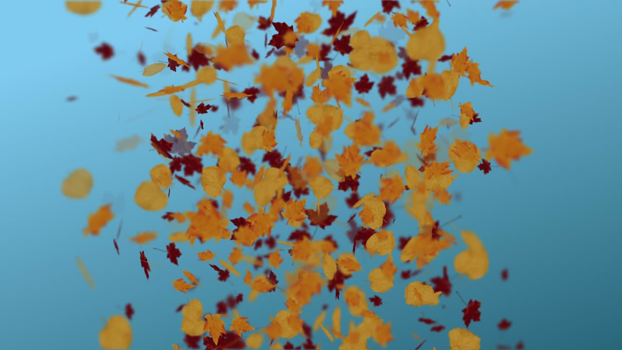 떨어지는 잎의 애니메이션 루프 가을