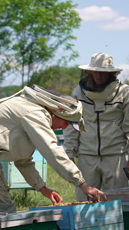 beekeepers inspecting beehives