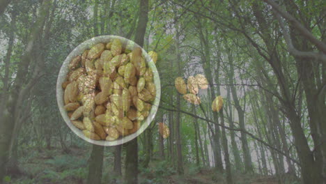 almonds in bowl with lush green forest background, highlighting nature's nutrition