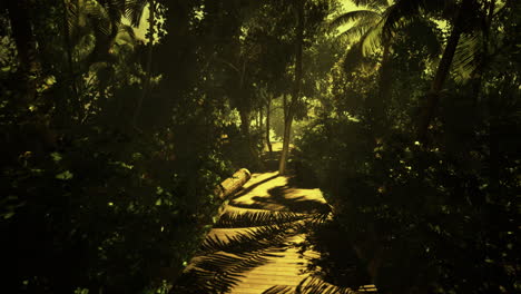 sunlit tropical path through lush foliage in a serene setting