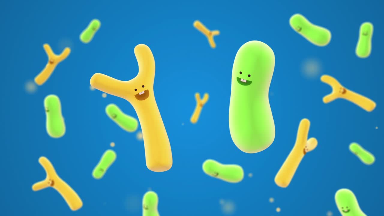 Cartoon shape bifidobacteria