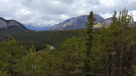 Evergreen-trees-sway-in-the-breeze-against-a-Rocky-Mountain-background