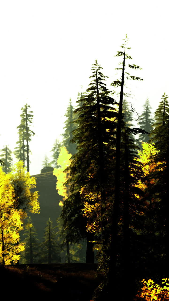 Majestic forest landscape showcasing vibrant autumn foliage in sunlight